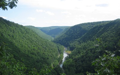 Pine Creek Gorge