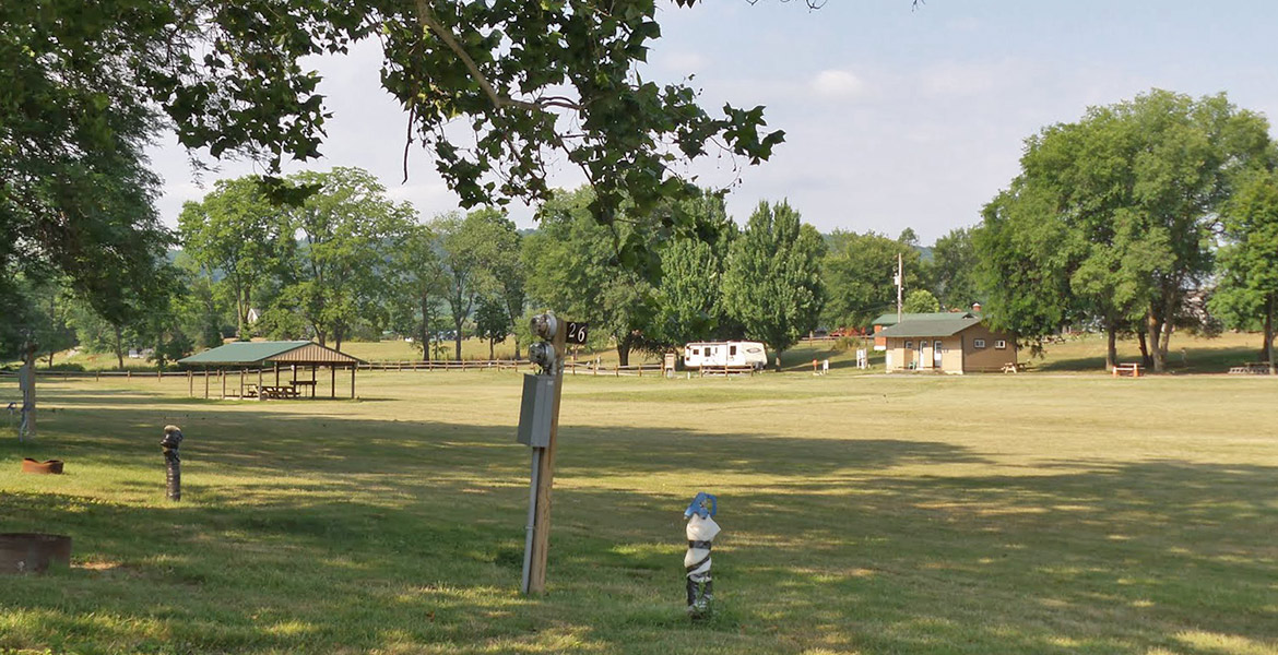Open Grassy Field
