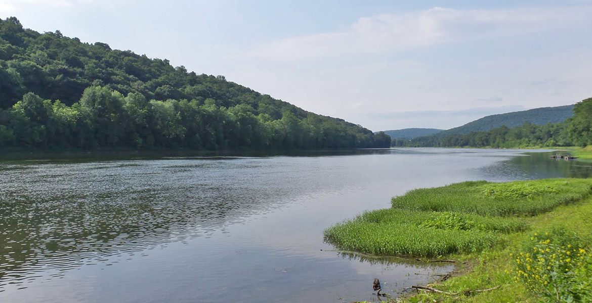 River View
